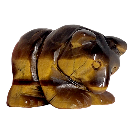 Carved Bear Tiger's Eye